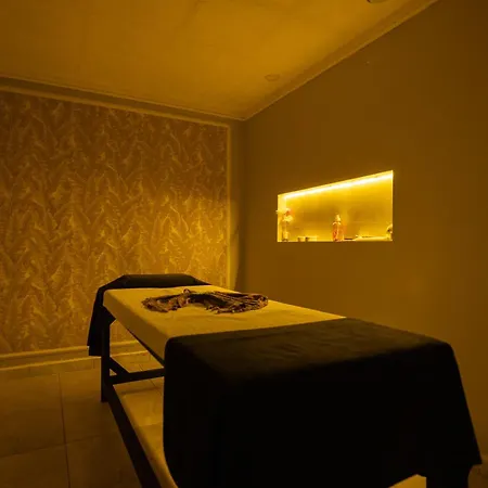 Halic Park 5*