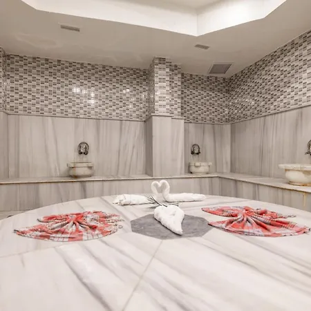 Hotel Halic Park