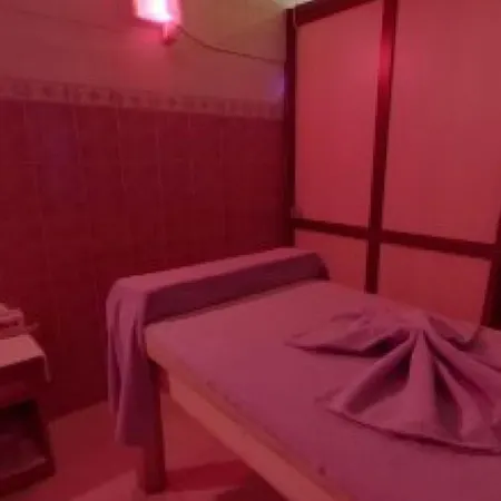 Hotel Halic Park